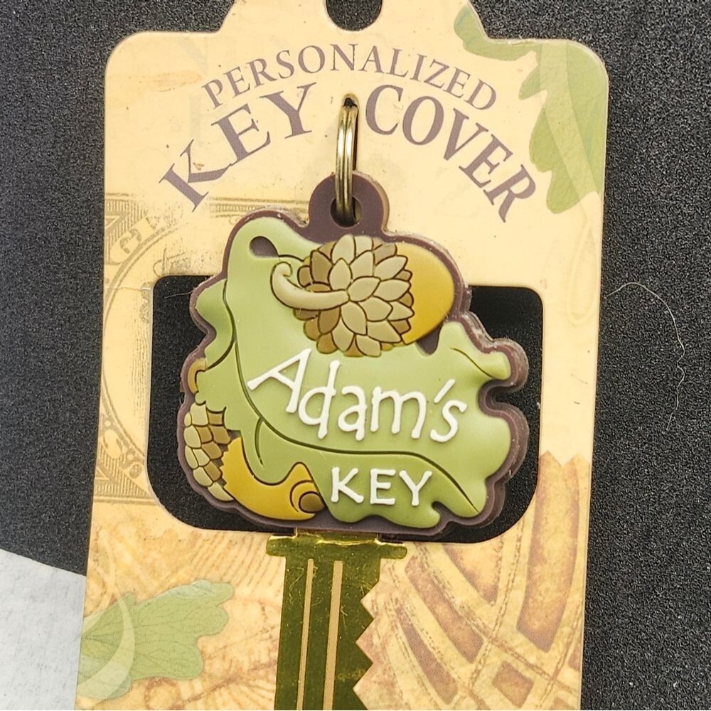 Adam Key Cover